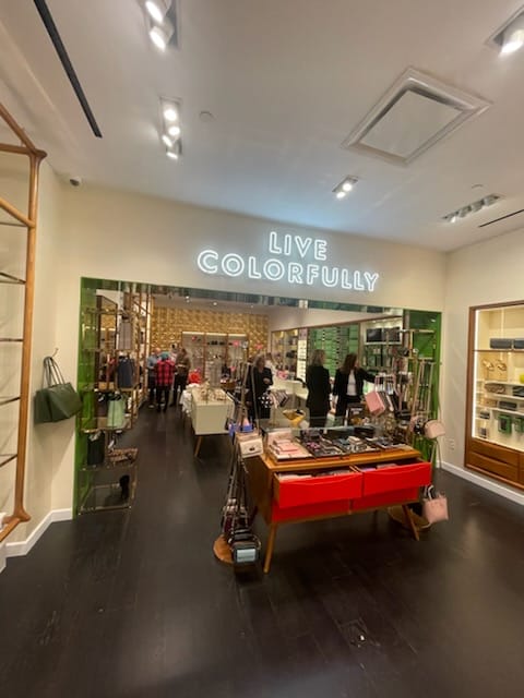 Recaudación de Fondos de Kate Spade Apoya a Act Now Foundation (2023), foto 11