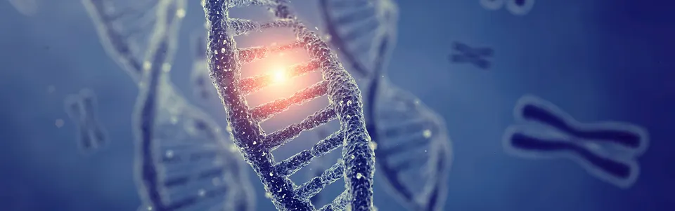 Doble hélice de ADN que representa los factores genéticos que pueden aumentar el riesgo de la enfermedad de Alzheimer